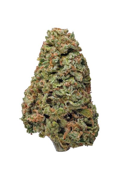 תפרחת בלו דיזל (Blue Diesel) – זן קנאביס דיזלי-פירותי