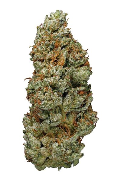OG Kush - תמונת זן קנאביס