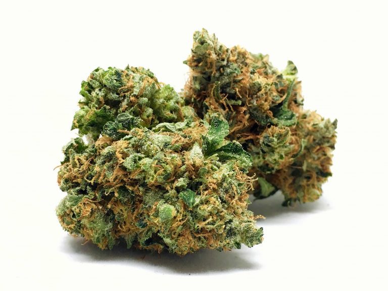 אורנג’ קוש (Orange Kush) - זן וויד - חוות דעת - ביקורות