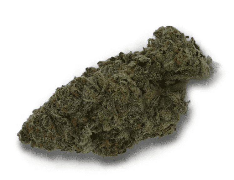 זאוס (Zeus)