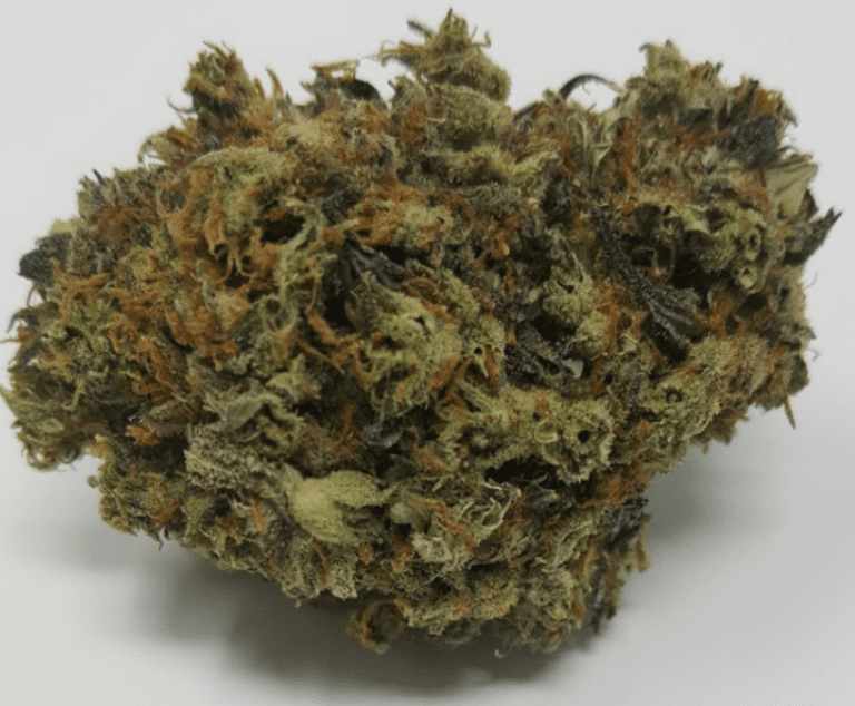 ג'י 29 (G29)