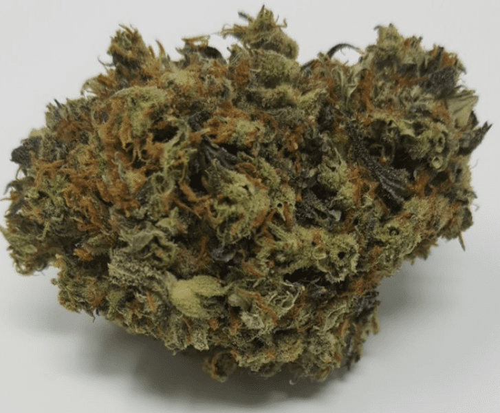 ג'י 29 (G29)