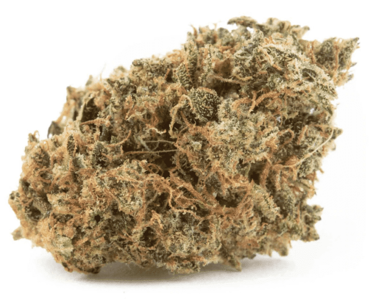 קולד קריק קוש (Cold Creek Kush)