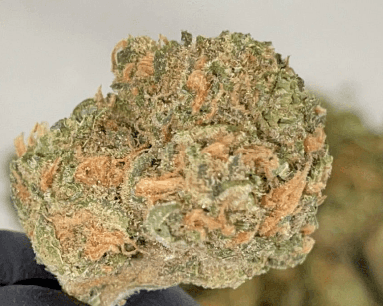 סוויט למון דיזל (Sweet Lemon Diesel)