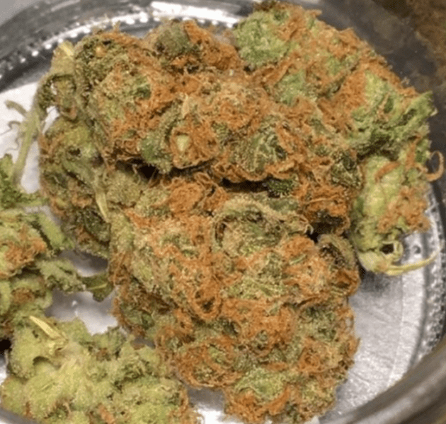האש פלנט (Hash Plant)
