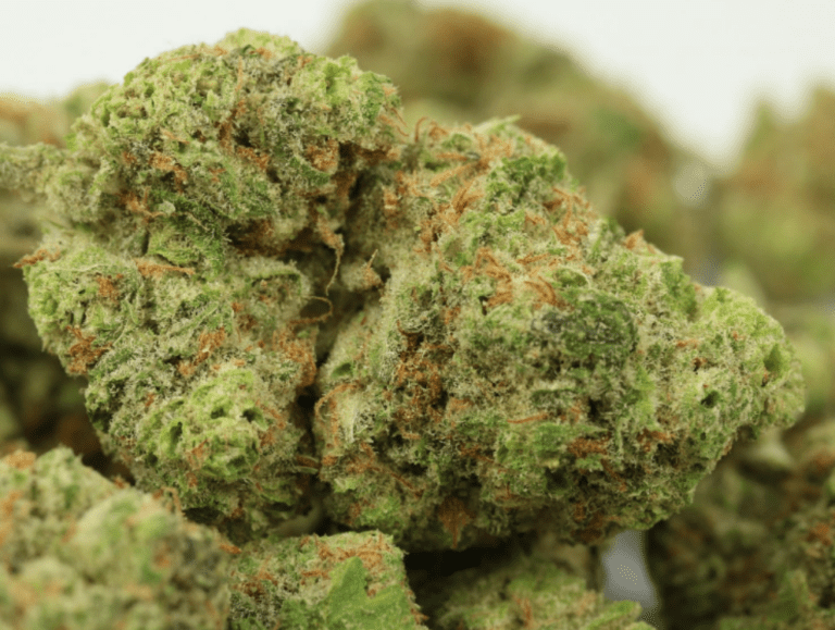 בלו דרים (Blue Dream)