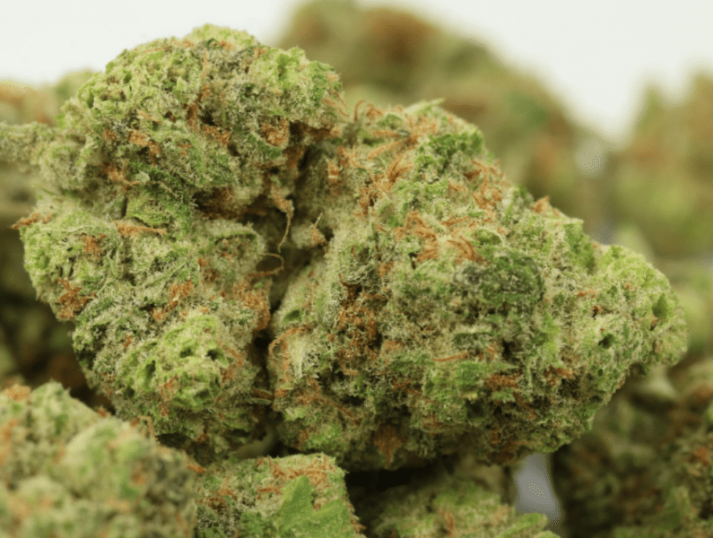 בלו דרים (Blue Dream)