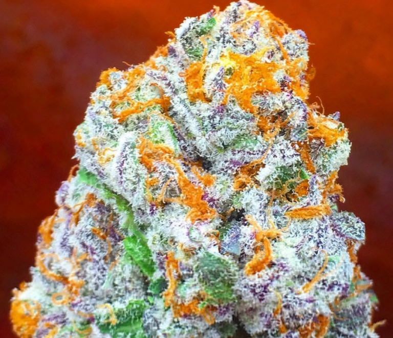 למון קוש (Lemon Kush)