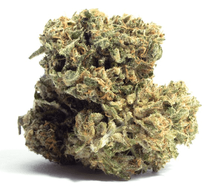 סאוור או.ג'י צ'יז (Sour OG Cheese)