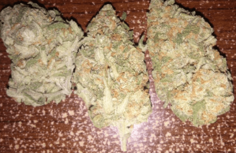 דרבן פויזן (Durban Poison)