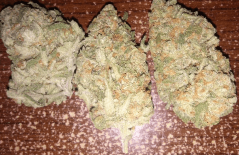 דרבן פויזן (Durban Poison)