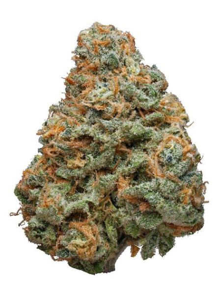 Haze-Berry1