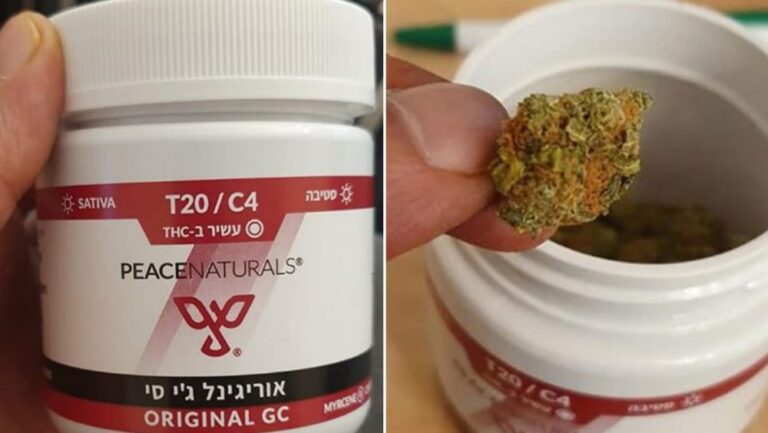 אוריגינל גי סי