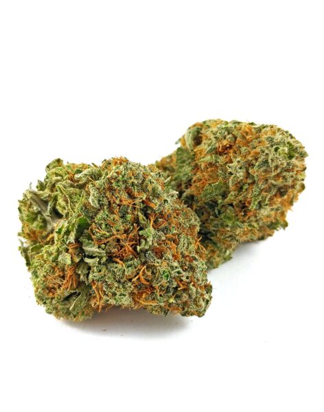 וויט פייר אוג’י (White Fire OG) - זן וויד - חוות דעת - ביקורות
