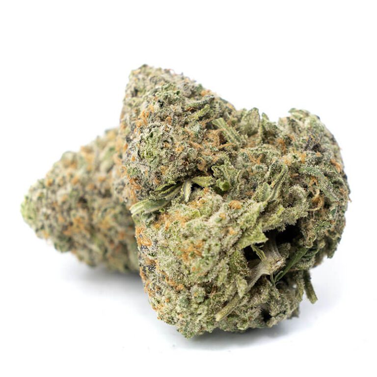 אליאן אוג’י (Alien OG)