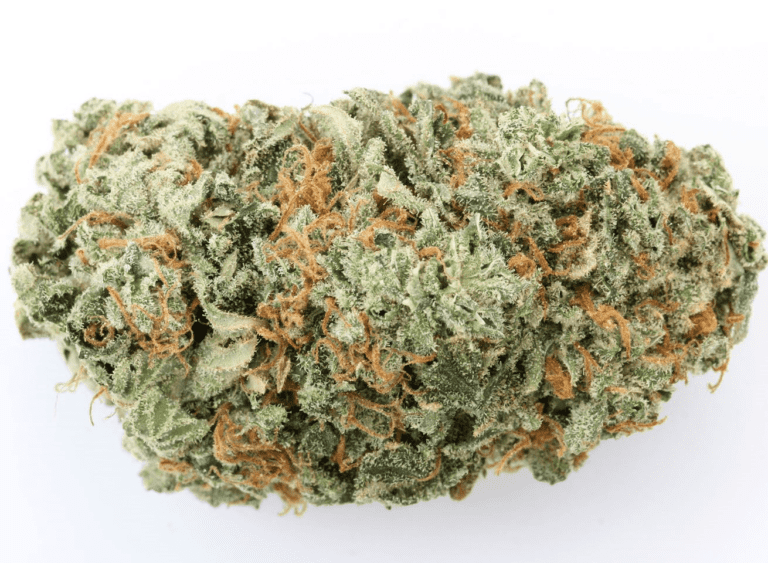 ג’י 13 (G13)