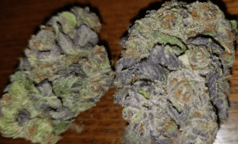 גרנדדאדי פרפל (Granddaddy Purple)