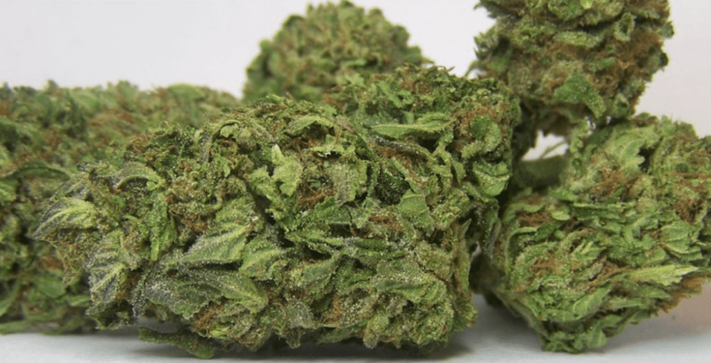 באבא קוש (Bubba Kush)