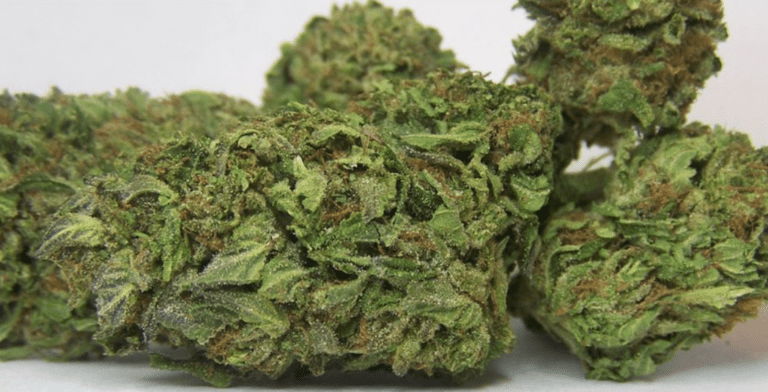 באבא קוש (Bubba Kush)