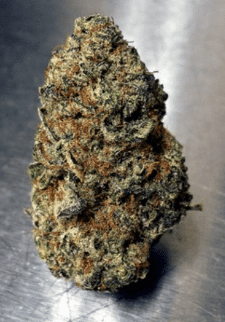 בלקברי קוש (Blackberry Kush) - זן וויד - חוות דעת - ביקורות