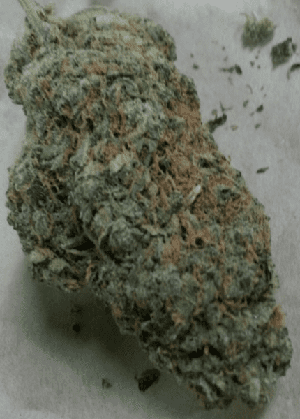 רומולן (Romulan)