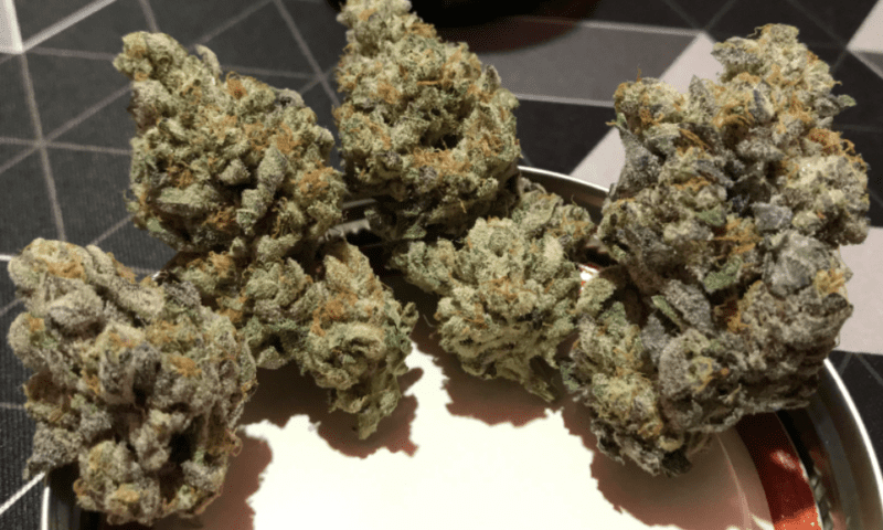 אל.איי קוש קייק (LA Kush Cake)