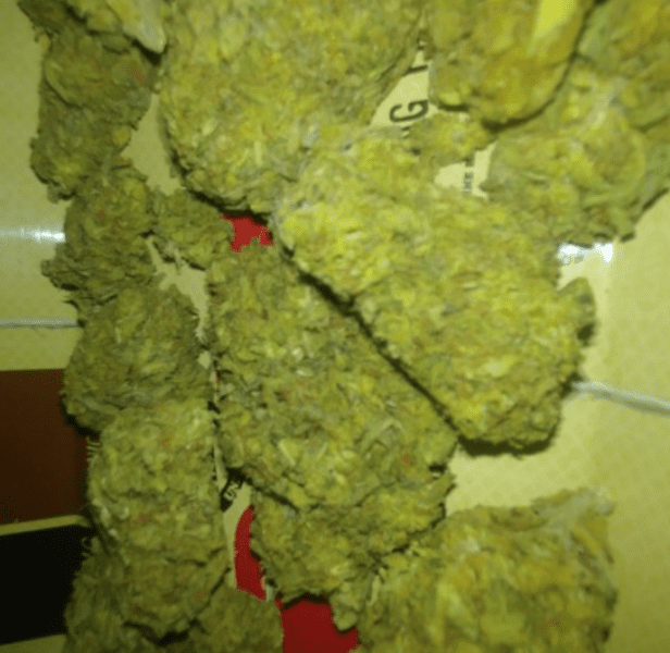 פיינאפל אקספרס (Pineapple Express)