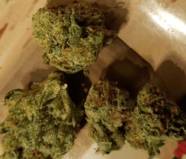 סופר סילבר הייז (Super Silver Haze)