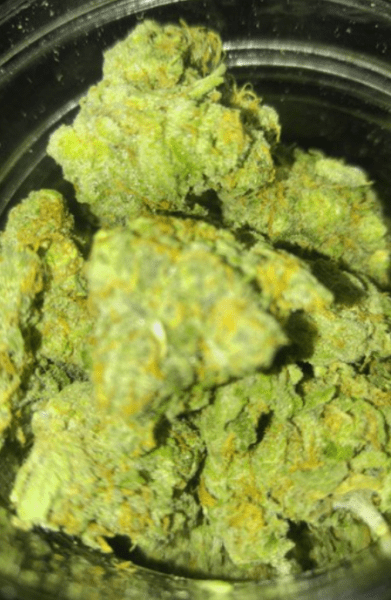 בננה קוש (Banana Kush)
