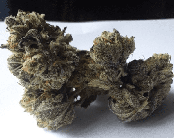 סקיטלז (Zkittlez) – מדריך מלא על הזן, THC, טעמים והשפעות