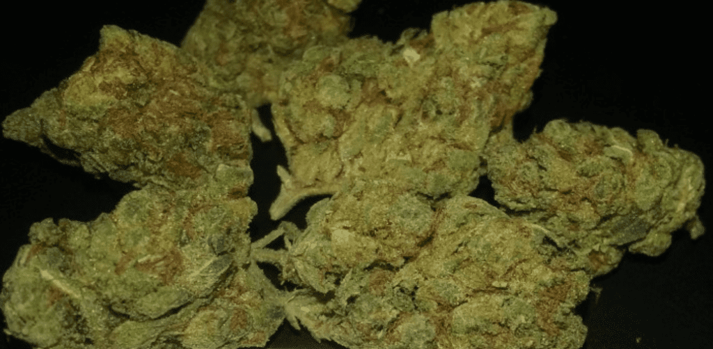אס.אף.וי או.ג'י (SFV OG/San Fernando Valley OG)