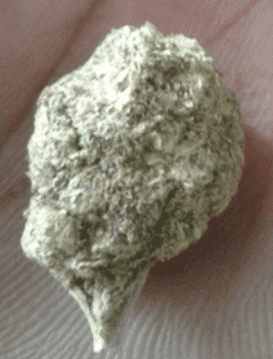 ג'לטו (Gelato)