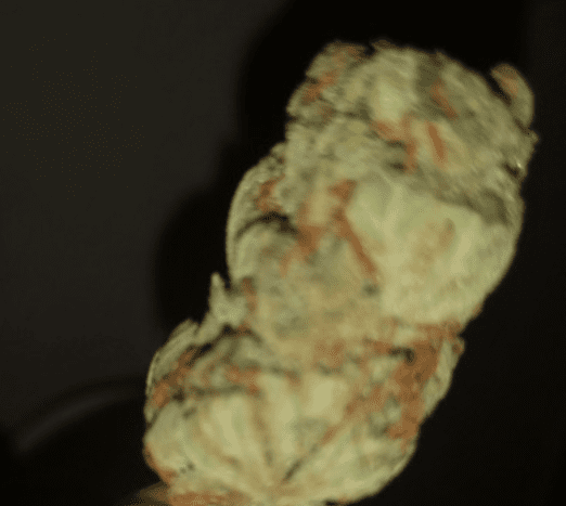 הייז (Haze)