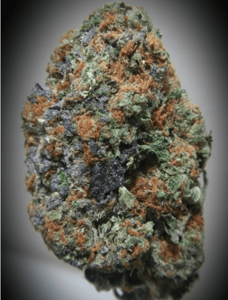 סקאנק#1 (Skunk#1)