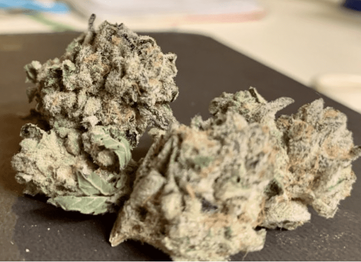 קוש מינטס (Kush Mints)