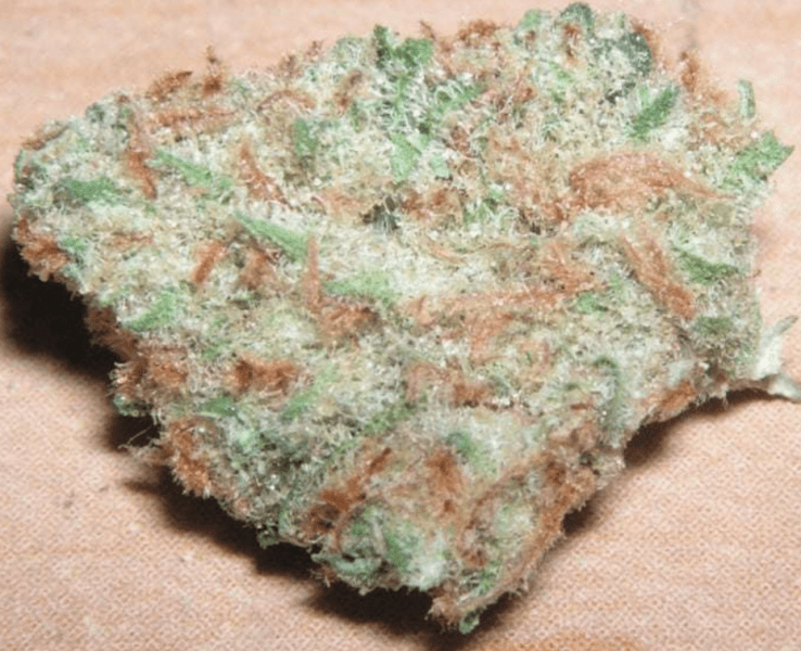 גירל סקוט קוקיז (Girl Scout Cookies/GSC) - זן וויד - חוות דעת - ביקורות