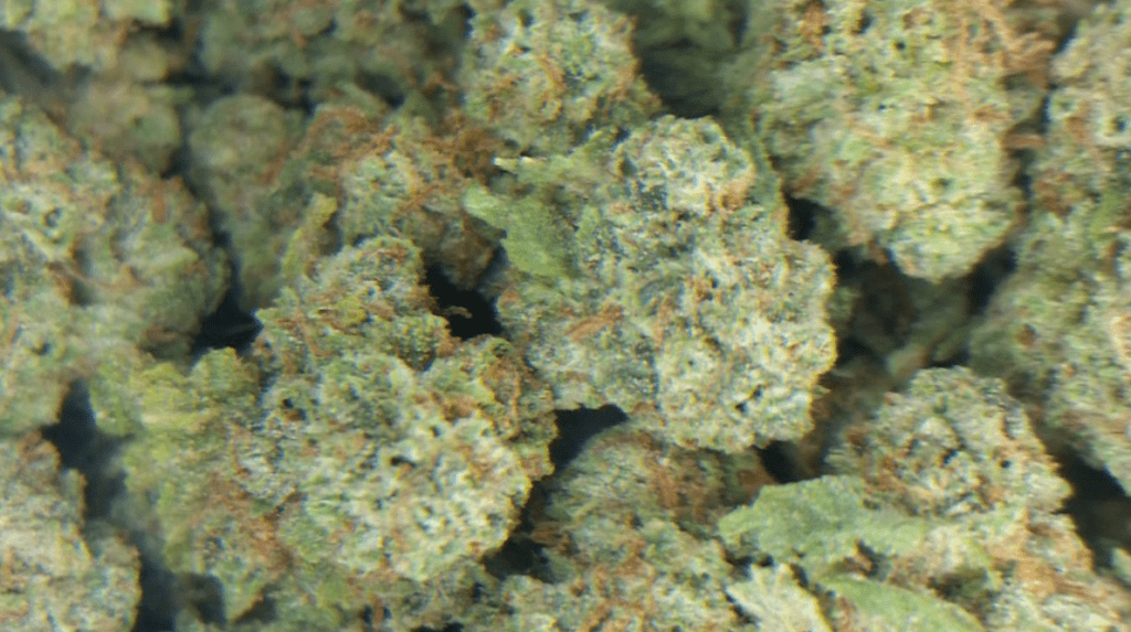 צ'ימדוג (Chemdawg/Chemdog)