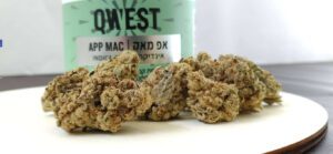 אפ מאק App Mac תפרחת אינדיקה של Qwest