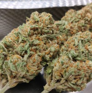 גולדן דרימז סיקרט CBD תפרחת היברידית T3/C15