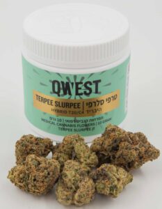 טרפי סלרפי (Terpee Slurpee) תפרחת קנאביס היברידית