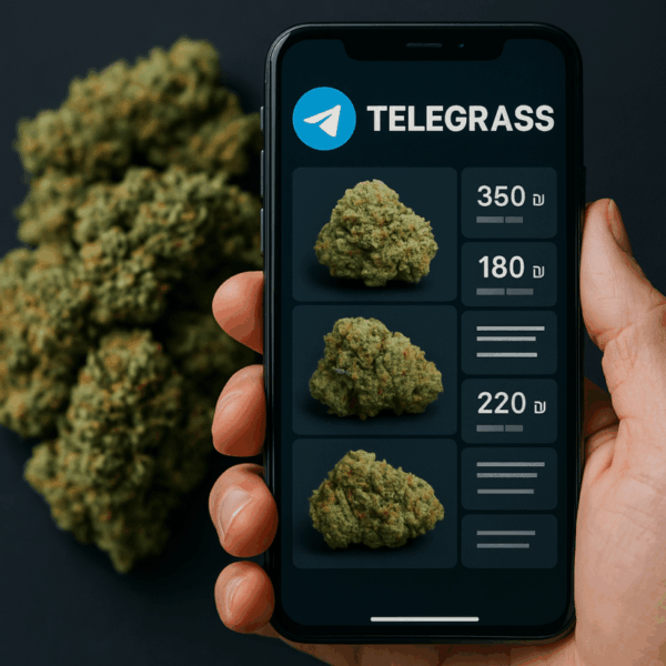 Telegrass Telegram telegram telegrass
