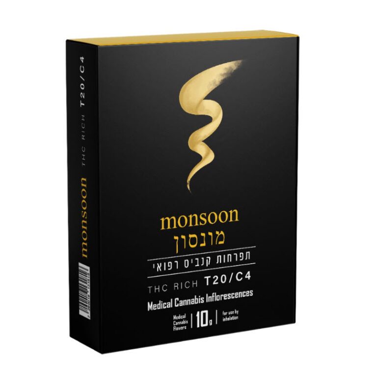 מונסון