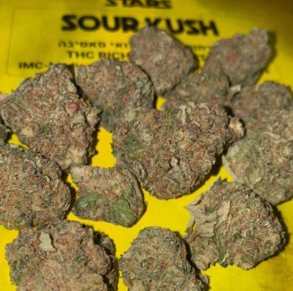 סאוור קוש (sour Kush) תפרחת