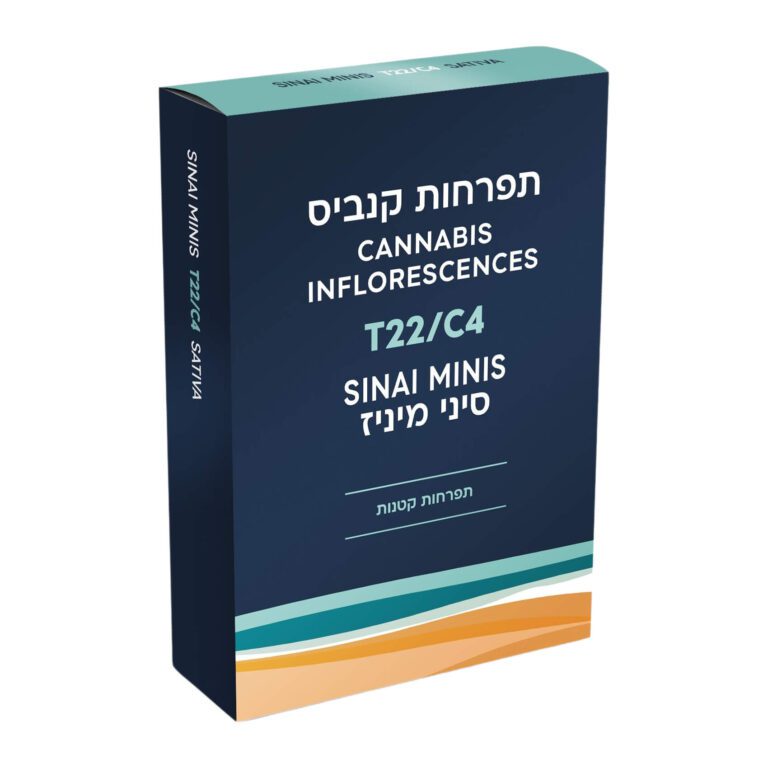 סיני מיניז (Sinai Minis) – סאטיבה T22/C4 - זן וויד - חוות דעת - ביקורות