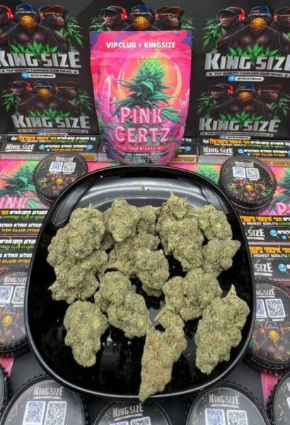 Pink Certz – Complete Guide to the Strain, THC, Flavors, and Effects