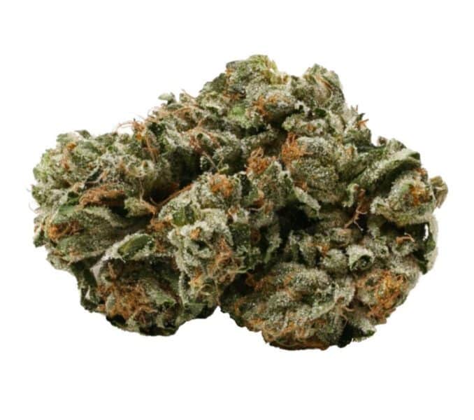 פינק קוש (pink Kush) תפרחת