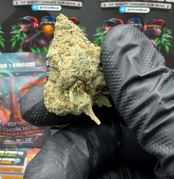 French Cookies – Complete Guide to the Strain, THC, Flavors and Effects
