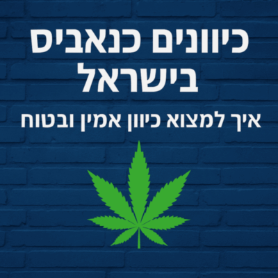 כיוונים קנאביס בישראל – איך למצוא כיוון אמין ובטוח (מדריך 2026)